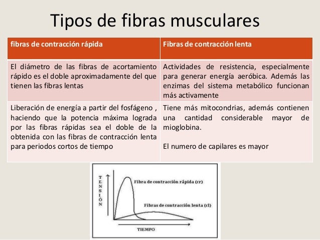 Bases fisiológicas del ejercicio Bases fisiológicas del ejercicio