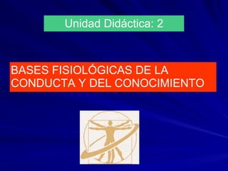 Unidad Didáctica: 2



BASES FISIOLÓGICAS DE LA
CONDUCTA Y DEL CONOCIMIENTO
 