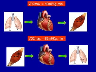 VO2máx = 40ml/Kg.min -1 VO2máx = 85ml/Kg.min -1 