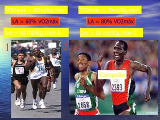 VO2máx = 70ml/Kg.min -1 VO2máx = 80ml/Kg.min -1 1 2 LA = 60% VO2máx LA = 80% VO2máx Int = 48  ml/Kg.min-1 Int = 56  ml/Kg.min-1 Campeão 
