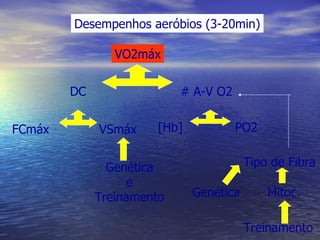 Desempenhos aeróbios (3-20min) VO2máx # A-V O2 DC FCmáx VSmáx [Hb] Tipo de Fibra PO2 Treinamento Genética Mitoc. Genética e Treinamento 
