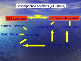 Desempenhos aeróbios (21-60min) VO2 constante Economia de Corrida Bioenergética Biomecânica % Tipo de Fibra LA %VO2máx Estresse Térmico Desidratação 