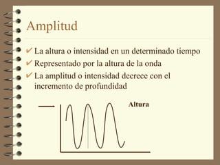 Amplitud La altura o intensidad en un determinado tiempo Representado por la altura de la onda La amplitud o intensidad decrece con el incremento de profundidad Altura 