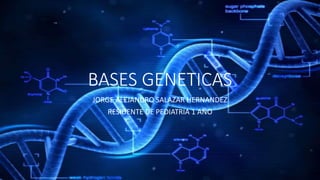 BASES GENETICAS
JORGE ALEJANDRO SALAZAR HERNANDEZ
RESIDENTE DE PEDIATRIA 1 AÑO
 