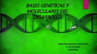 BASES GENETICAS Y 
MOLECULARES DEL 
DESARROLLO 
OBSTETRA,FRANCISCO LEON REYES 
C.S. 09 DE ENERO 
AMAZONAS 
 