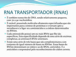 RNA TRANSPORTADOR (RNAt)
 É também transcrito do DNA, sendo relativamente pequeno,
com 70 a 90 nucleotídios.
 É estável, possuindo moléculas altamente especializadas que são
importantes para a síntese de proteínas e o tornam apto a
reconhecer e a ligar-se a aminoácidos e a códons determinados
no RNAm.
 Cada aminoácido possui um ou mais RNAt que lhe são
específicos. Esta especificidade depende de uma série de enzimas
complexas, as aminoacil-RNAt-sintetases.
 Existe uma série de três bases que são complementares a um
conjunto de igual número de bases no RNAm. Essas bases do
RNAm denominam-se códon e as do RNAt, anticódon. É o
anticódon o responsável pelo reconhecimento do códon correto.
 