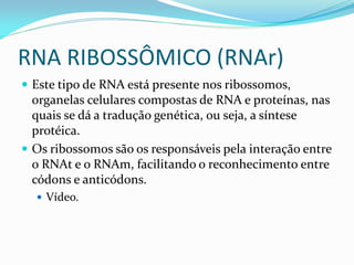 RNA RIBOSSÔMICO (RNAr)
 Este tipo de RNA está presente nos ribossomos,
organelas celulares compostas de RNA e proteínas, nas
quais se dá a tradução genética, ou seja, a síntese
protéica.
 Os ribossomos são os responsáveis pela interação entre
o RNAt e o RNAm, facilitando o reconhecimento entre
códons e anticódons.
 Vídeo.
 