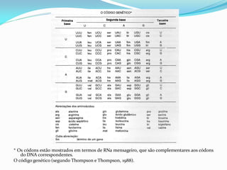 * Os códons estão mostrados em termos de RNa mensageiro, que são complementares aos códons
do DNA correspondentes.
O código genético (segundo Thompson e Thompson, 1988).
 