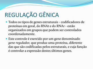 REGULAÇÃO GÊNICA
 Todos os tipos de genes estruturais - codificadores de
proteínas em geral, do RNAt e do RNAr - estão
organizados em grupos que podem ser controlados
coordenadamente.
 Este controle é exercido por um gene denominado
gene regulador, que produz uma proteína, diferente
das que são codificadas pelos estruturais, e cuja função
é controlar a expressão destes últimos genes.
 