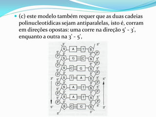  (c) este modelo também requer que as duas cadeias
polinucleotídicas sejam antiparalelas, isto é, corram
em direções opostas: uma corre na direção 5' - 3',
enquanto a outra na 3' - 5',
 