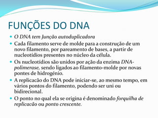 FUNÇÕES DO DNA
 O DNA tem Junção autoduplicadora
 Cada filamento serve de molde para a construção de um
novo filamento, por pareamento de bases, a partir de
nucleotídios presentes no núcleo da célula.
 Os nucleotídios são unidos por ação da enzima DNA-
polimerase, sendo ligados ao filamento-molde por novas
pontes de hidrogénio.
 A replicacão do DNA pode iniciar-se, ao mesmo tempo, em
vários pontos do filamento, podendo ser uni ou
bidirecional.
 O ponto no qual ela se origina é denominado forquilha de
replicacão ou ponto crescente.
 