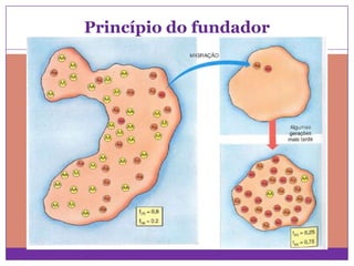 Princípio do fundador

 