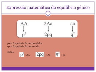 Expressão matemática do equilíbrio gênico

p é a frequência de um dos alelos
q é a frequência do outro alelo
Então:
= AA

= Aa

= aa

 