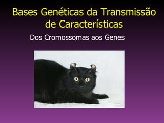 Bases Genéticas da Transmissão de Características Dos Cromossomas aos Genes 