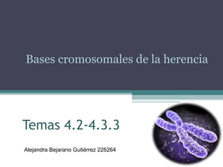 Temas 4.2-4.3.3
Bases cromosomales de la herencia
Alejandra Bejarano Gutiérrez 226264
 