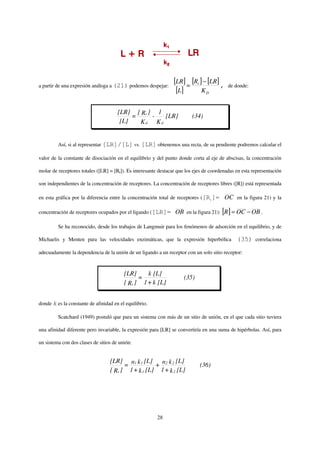 a partir de una expresión análoga a (21) podemos despejar:
                                                                 [LR] = [Rt ] − [LR] ,     de donde:
                                                                  [L]        KD


                                      [LR] [ Rt ] 1
                                           =     -  [LR]                  (34)
                                       [L]   Kd Kd


         Así, si al representar [LR]/[L] vs. [LR] obtenemos una recta, de su pendiente podremos calcular el

valor de la constante de disociación en el equilibrio y del punto donde corta al eje de abscisas, la concentración

molar de receptores totales ([LR] = [Rt]). Es interesante destacar que los ejes de coordenadas en esta representación

son independientes de la concentración de receptores. La concentración de receptores libres ([R]) está representada

en esta gráfica por la diferencia entre la concentración total de receptores ([Rt]=      OC en la figura 21) y la

concentración de receptores ocupados por el ligando ([LR]=       OB en la figura 21): [R ] = OC − OB .

         Se ha reconocido, desde los trabajos de Langmuir para los fenómenos de adsorción en el equilibrio, y de

Michaelis y Menten para las velocidades enzimáticas, que la expresión hiperbólica              (35) correlaciona

adecuadamente la dependencia de la unión de un ligando a un receptor con un solo sitio receptor:


                                         [LR]     k [L]
                                               =                      (35)
                                         [ Rt ] 1 + k [L]


donde k es la constante de afinidad en el equilibrio.

         Scatchard (1949) postuló que para un sistema con más de un sitio de unión, en el que cada sitio tuviera

una afinidad diferente pero invariable, la expresión para [LR] se convertiría en una suma de hipérbolas. Así, para

un sistema con dos clases de sitios de unión:


                                  [LR] n1 k 1 [L]            [L]
                                        =           + n2 k 2                 (36)
                                  [ Rt ] 1 + k 1 [L] 1 + k 2 [L]




                                                         28
 