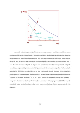 Figura 22




         Además de unirse a receptores específicos en las estructuras celulares o subcelulares sometidas a examen,

el ligando también se fija a otras proteínas, a organelas, a fragmentos de membrana, etc., generalmente, aunque no

necesariamente, con baja afinidad. Para obtener una línea recta en la representación de Scatchard cuando sólo hay

un tipo de sitios de unión, se debe sustraer este binding no específico, no saturable. Su cuantificación se lleva a

cabo añadiendo un exceso de ligando sin etiquetar (una concentración unas 100 veces superior a la de ligando

marcado), que desplaza así la práctica totalidad del ligando marcado de sus receptores específicos. En la práctica, la

determinación del binding no específico en un paso experimental diferente introduce errores estadísticos

considerables, por lo que los datos de binding específico y no específico se deben intentar ajustar simultáneamente.

La base de los cálculos es un modelo    "n x m", para n ligandos que se unen a m clases de sitios receptores, y

un algoritmo de mínimos cuadrados ponderados no-lineal, como el que utiliza el programa LIGAND. La ventaja de

este método es que permite formular y evaluar varios modelos, y seleccionar el mejor desde el punto de vista

estadístico.




                                                         30
 