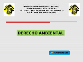 UNIVERSIDAD NORORIENTAL PRIVADA 
“GRAN MARISCAL DE AYACUCHO” 
CÁTEDRA: DERECHO AGRARIO Y DEL AMBIENTE 
5° AÑO SECCIÓN 3 (NOCTURNO). 
 