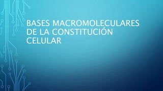 BASES MACROMOLECULARES
DE LA CONSTITUCIÓN
CELULAR
 