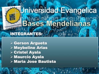 INTEGRANTES:
 Gerson Argueta
 Meybeline Arias
 Cristel Ayala
 Maurcio Ayala
 Maria Jose Bautista
 