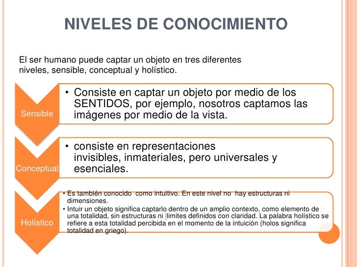 Bases metodológicas del conocimiento