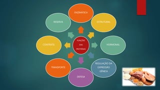 FUNÇÕES
DAS
PROTEÍNAS
ENZIMÁTICA
ESTRUTURAL
HORMONAL
REGULAÇÃO DA
EXPRESSÃO
GÊNICA
DEFESA
TRANSPORTE
CONTRÁTIL
RESERVA
 