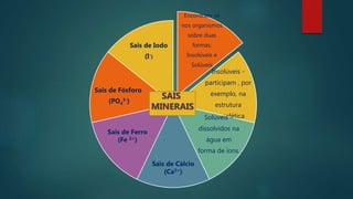 Encontram-se
nos organismos
sobre duas
formas:
Insolúveis e
Solúveis
Insolúveis -
participam , por
exemplo, na
estrutura
esquelética
Solúveis –
dissolvidos na
água em
forma de íons.
Sais de Cálcio
(Ca2+)
Sais de Ferro
(Fe 2+)
Sais de Fósforo
(PO4
3-)
Sais de Iodo
(I-)
SAIS
MINERAIS
 