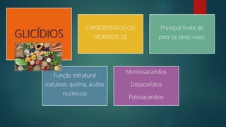 GLICÍDIOS
CARBOIDRATOS OU
HIDRATOS DE
Principal fonte de
para os seres vivos.
Função estrutural
(celulose, quitina, ácidos
nucleicos)
Monossacarídios
Dissacarídios
Polissacarídios
 