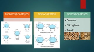 MONOSSACARÍDIOS DISSACARÍDIOS POLISSACARÍDIOS
• Celulose
• Glicogênio
• Amido
 