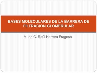 M. en C. Raúl Herrera Fragoso
BASES MOLECULARES DE LA BARRERA DE
FILTRACION GLOMERULAR
 