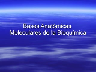 Bases Anatómicas  Moleculares de la Bioquímica 