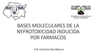BASES MOLECULARES DE LA
NEFROTOXICIDAD INDUCIDA
POR FARMACOS
E.M. Julio Cesar Diaz Albarran
 