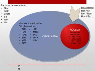 Bases moleculares del cancer | PPTX