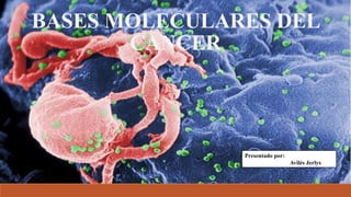 BASES MOLECULARES DEL
CANCER
Presentado por:
Avilés Jerlys
 