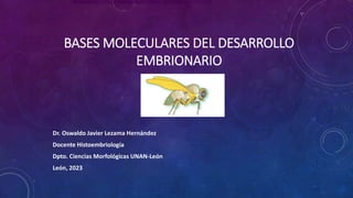 BASES MOLECULARES DEL DESARROLLO
EMBRIONARIO
Dr. Oswaldo Javier Lezama Hernández
Docente Histoembriología
Dpto. Ciencias Morfológicas UNAN-León
León, 2023
 