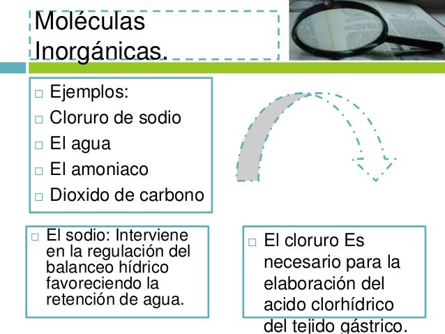 Cloruro De Potasio Elementos Que Lo Conforman