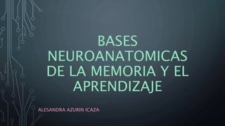 BASES
NEUROANATOMICAS
DE LA MEMORIA Y EL
APRENDIZAJE
ALESANDRA AZURIN ICAZA
 
