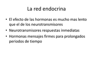 La red endocrina
• El efecto de las hormonas es mucho mas lento
que el de los neurotransmisores
• Neurotransmisores respuestas inmediatas
• Hormonas mensajes firmes para prolongados
periodos de tiempo
 