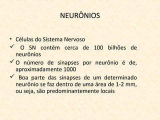 NEURÔNIOS
• Células do Sistema Nervoso
 O SN contém cerca de 100 bilhões de
neurônios
O número de sinapses por neurônio é de,
aproximadamente 1000
 Boa parte das sinapses de um determinado
neurônio se faz dentro de uma área de 1-2 mm,
ou seja, são predominantemente locais
 