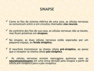 SINAPSE
 Como os fios do sistema elétrico de uma casa, as células nervosas
se comunicam entre si em circuitos chamados vias neurais.
 Ao contrário dos fios de sua casa, as células nervosas não se tocam,
mas ficam próximas em sinapses.
 Na sinapse, as duas células nervosas estão separadas por um
pequeno espaço, ou fenda sináptica.
 O neurônio transmissor se chama célula pré-sináptica, ao passo
que o receptor se chama célula pós-sináptica.
 As células nervosas enviam mensagens químicas com os
neurotransmissores em uma única direção pela sinapse a partir da
célula pré-sináptica para a pós-sináptica.
 