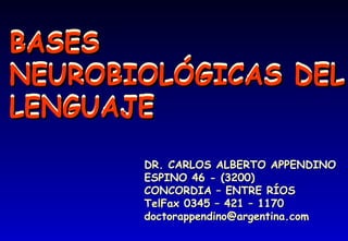 BASES
NEUROBIOLÓGICAS DEL
LENGUAJE

       DR. CARLOS ALBERTO APPENDINO
       ESPINO 46 - (3200)
       CONCORDIA – ENTRE RÍOS
       TelFax 0345 – 421 – 1170
       doctorappendino@argentina.com
 