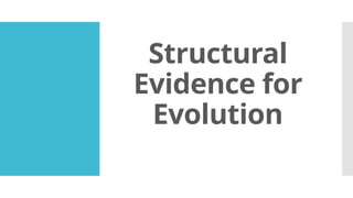 THE BASES ON THE THEORIES OF EVOLUTION.pptx