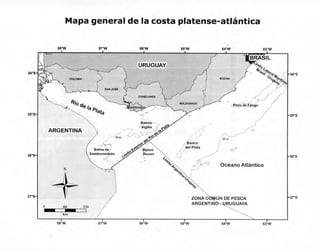 R AYUP-ZOUAIN
1
Evolución paleogeográfica y
dispersión de los sedimentos
del Río de la Plata
RICARDO N. AYUP-ZOUAIN
ricard...