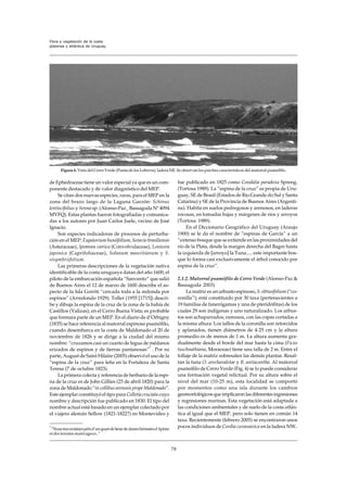 Vsuy_ Bases para la conservación y el  manejo de la costa uruguaya_2006