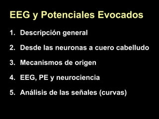 EEG y Potenciales Evocados ,[object Object],[object Object],[object Object],[object Object],[object Object]