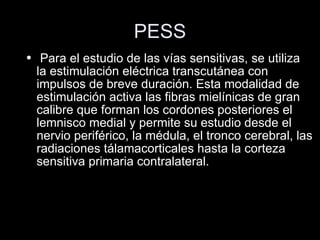 PESS Para el estudio de las vías sensitivas, se utiliza la estimulación eléctrica transcutánea con impulsos de breve duración. Esta modalidad de estimulación activa las fibras mielínicas de gran calibre que forman los cordones posteriores el lemnisco medial y permite su estudio desde el nervio periférico, la médula, el tronco cerebral, las radiaciones tálamacorticales hasta la corteza sensitiva primaria contralateral.  