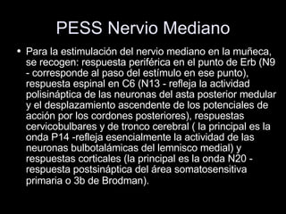 PESS Nervio Mediano Para la estimulación del nervio mediano en la muñeca, se recogen: respuesta periférica en el punto de Erb (N9 - corresponde al paso del estímulo en ese punto), respuesta espinal en C6 (N13 - refleja la actividad polisináptica de las neuronas del asta posterior medular y el desplazamiento ascendente de los potenciales de acción por los cordones posteriores), respuestas cervicobulbares y de tronco cerebral ( la principal es la onda P14 -refleja esencialmente la actividad de las neuronas bulbotalámicas del lemnisco medial) y respuestas corticales (la principal es la onda N20 - respuesta postsináptica del área somatosensitiva primaria o 3b de Brodman).   