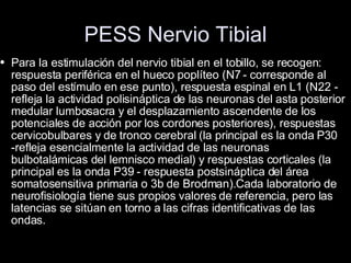 PESS Nervio Tibial Para la estimulación del nervio tibial en el tobillo, se recogen: respuesta periférica en el hueco poplíteo (N7 - corresponde al paso del estímulo en ese punto), respuesta espinal en L1 (N22 - refleja la actividad polisináptica de las neuronas del asta posterior medular lumbosacra y el desplazamiento ascendente de los potenciales de acción por los cordones posteriores), respuestas cervicobulbares y de tronco cerebral (la principal es la onda P30 -refleja esencialmente la actividad de las neuronas bulbotalámicas del lemnisco medial) y respuestas corticales (la principal es la onda P39 - respuesta postsináptica del área somatosensitiva primaria o 3b de Brodman).Cada laboratorio de neurofisiología tiene sus propios valores de referencia, pero las latencias se sitúan en torno a las cifras identificativas de las ondas. 