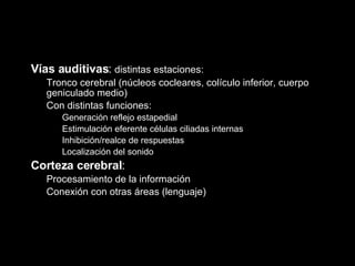 Vías auditivas :  distintas estaciones: Tronco cerebral (núcleos cocleares, colículo inferior, cuerpo geniculado medio) Con distintas funciones: Generación reflejo estapedial Estimulación eferente células ciliadas internas Inhibición/realce de respuestas Localización del sonido Corteza cerebral : Procesamiento de la información  Conexión con otras áreas (lenguaje) 