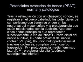 Potenciales evocados de tronco (PEAT), normal y patológico Tras la estimulación con un chasquido sonoro, se registran en el cuero cabelludo los potenciales de campo-lejano que tienen su origen en las neuronas del mesencéfalo y la protuberancia que están relacionadas con la audición. Aparecen cinco ondas principales que representan sucesivamente la vía acústica: I - Parte distal del nervio auditivo, II - parte proximal del nervio coclear (VIII par), III- unión bulboprotuberancial (núcleos cocleares, complejo olivar, cuerpo trapezoide), IV - protuberancia media (lemnisco lateral), V - protuberancia alta (tubérculo cuadrigémino inferior).  